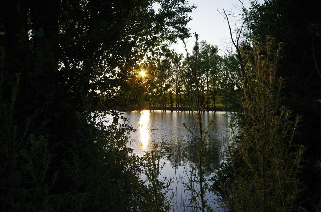 Agriturismo Scorgiano Zewnętrze zdjęcie